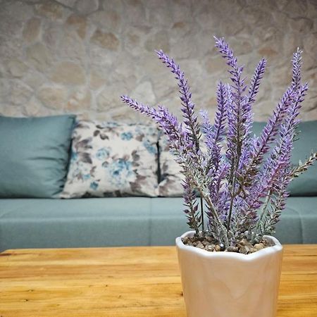 Dalmatia Rustica Comfortable One Bedroom+Fireplace Задар Екстериор снимка