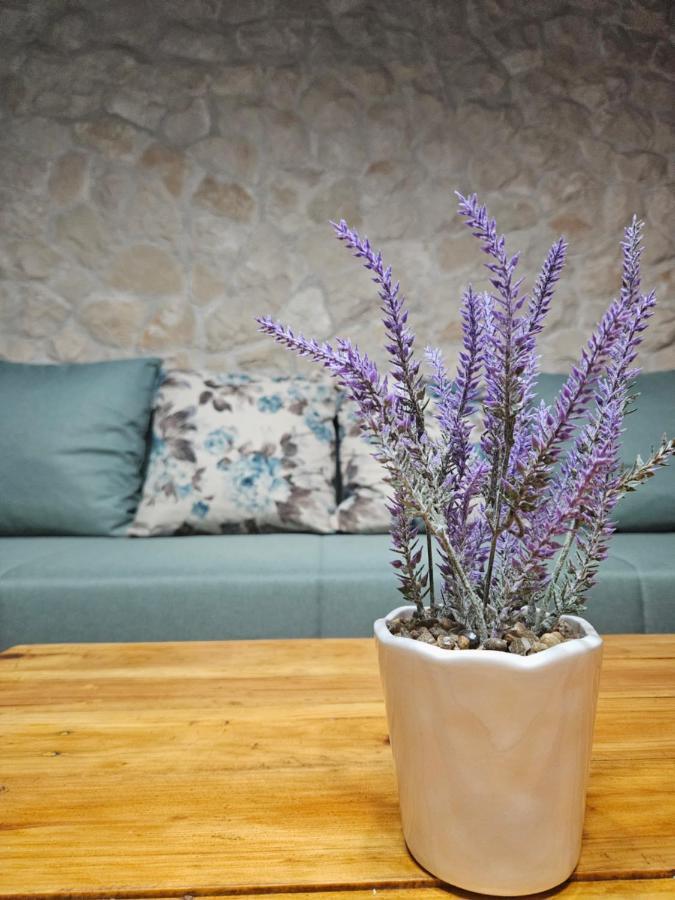Dalmatia Rustica Comfortable One Bedroom+Fireplace Задар Екстериор снимка